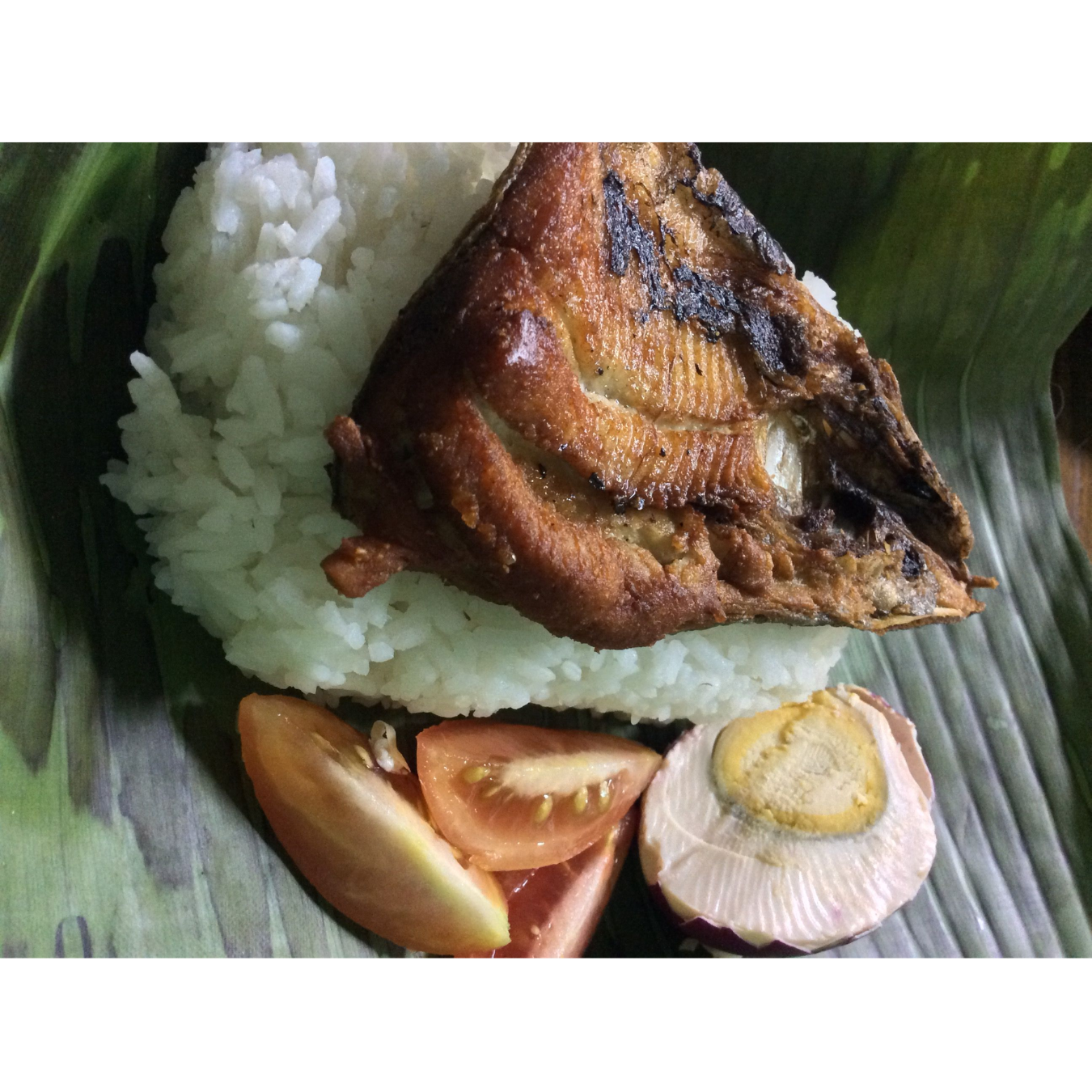 Bangus